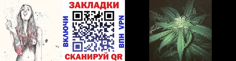 Купить закладку КОКАИН  Псилоцибиновые грибы  Гашиш  APVP  МАРИХУАНА  Меф  Лениногорск