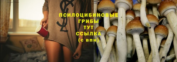 ГАЛЛЮЦИНОГЕННЫЕ ГРИБЫ Вязники