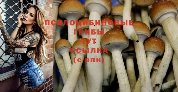 соль ск Вяземский