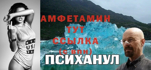 ГАЛЛЮЦИНОГЕННЫЕ ГРИБЫ Вязники