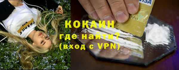 соль ск Вяземский