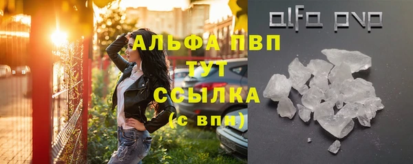 ГАЛЛЮЦИНОГЕННЫЕ ГРИБЫ Вязники