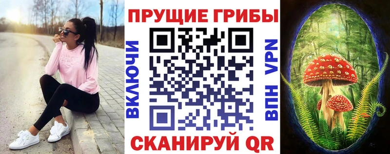 Купить где  Лениногорск  Галлюциногенные грибы ЛСД 